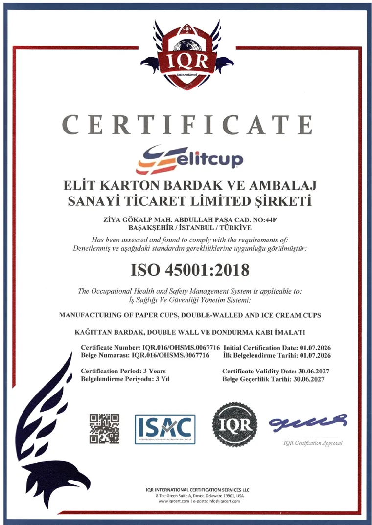 ISO 45001:2018 — Occupational Health and Safety Management System